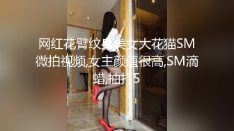 网红花臂纹身美女大花猫SM微拍视频,女主颜值很高,SM滴蜡,抽打5