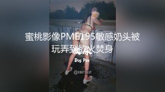 蜜桃影像PME195敏感奶头被玩弄到欲火焚身