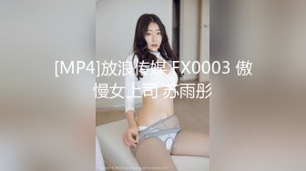 [MP4]放浪传媒 FX0003 傲慢女上司 苏雨彤