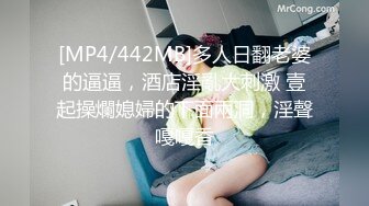 [MP4/442MB]多人日翻老婆的逼逼，酒店淫亂大刺激 壹起操爛媳婦的下面兩洞，淫聲嘎嘎香