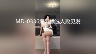 MD-0336爆乳候选人政见发表会