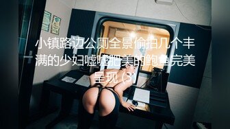 小镇路边公厕全景偷拍几个丰满的少妇嘘嘘肥美的鲍鱼完美呈现 (3)