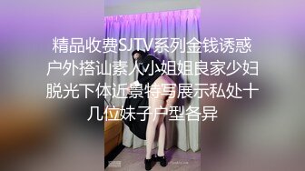 精品收费SJTV系列金钱诱惑户外搭讪素人小姐姐良家少妇脱光下体近景特写展示私处十几位妹子户型各异