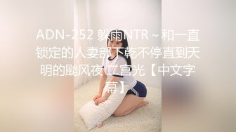 ADN-252 躲雨NTR～和一直锁定的人妻部下乾不停直到天明的颱风夜 二宫光【中文字幕】