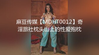 麻豆传媒【MDHT0012】奇淫旅社枕头山上的性爱抱枕