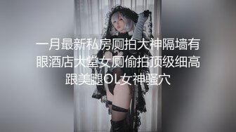 一月最新私房厕拍大神隔墙有眼酒店大堂女厕偷拍顶级细高跟美腿OL女神骚穴