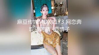 麻豆传媒MDX0173 网恋奔现骚阿姨 -夏晴子