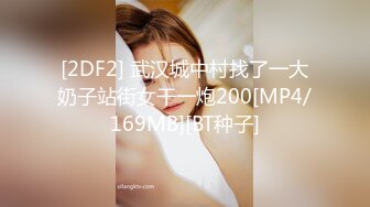 [2DF2] 武汉城中村找了一大奶子站街女干一炮200[MP4/169MB][BT种子]