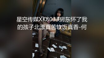 星空传媒XK8033房东怀了我的孩子北漂真苦软饭真香-何苗