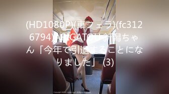 (HD1080P)(車フェラ)(fc3126794)ARIGATOU 新潟ちゃん「今年で引退することになりました」 (3)