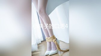 小姨子的口活4