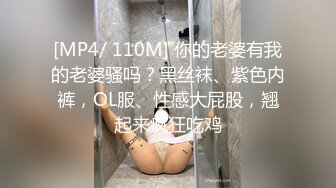 [MP4/ 110M] 你的老婆有我的老婆骚吗？黑丝袜、紫色内裤，OL服、性感大屁股，翘起来疯狂吃鸡