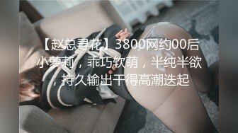 【赵总寻花】3800网约00后小萝莉，乖巧软萌，半纯半欲，持久输出干得高潮迭起