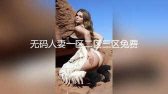 无码人妻一区二区三区兔费