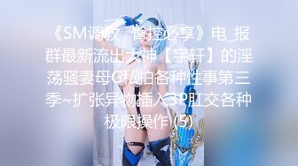 《SM调教✅臀控必享》电_报群最新流出大神【宇轩】的淫荡骚妻母G私拍各种性事第三季~扩张异物插入3P肛交各种极限操作 (5)