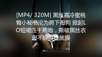 [MP4/ 320M] 黑丝高冷蜜桃臀小秘书沦为胯下母狗 掀起LO短裙连干两炮，撕破黑丝衣服不脱提枪就操