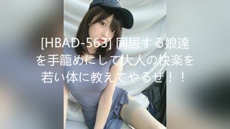 [HBAD-563] 同居する娘達を手籠めにして大人の快楽を若い体に教えてやるぜ！！