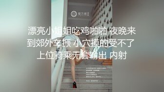 漂亮小姐姐吃鸡啪啪 夜晚来到郊外车振 小穴摸的受不了 上位骑乘无套输出 内射