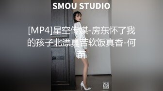 [MP4]星空传媒-房东怀了我的孩子北漂真苦软饭真香-何苗