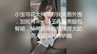 小宝寻花大神带你找大圈外围，加班再来一妹子性感美腿包臀裙，舔屌骑乘抽插揉捏大奶，侧入猛操呻吟娇喘