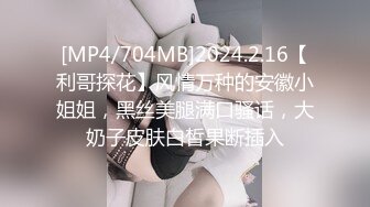 [MP4/704MB]2024.2.16【利哥探花】风情万种的安徽小姐姐，黑丝美腿满口骚话，大奶子皮肤白皙果断插入