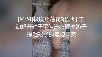 [MP4]极度淫荡花裙少妇 主动解开裤子手伸进衣服摸奶子 撩起裙子摸逼边口交