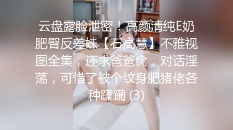 云盘露脸泄密！高颜清纯E奶肥臀反差妹【石高慧】不雅视图全集，还求爸爸肏，对话淫荡，可惜了被个纹身肥猪佬各种蹂躏 (3)