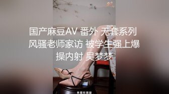 国产麻豆AV 番外 无套系列 风骚老师家访 被学生强上爆操内射 吴梦梦