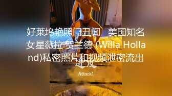 好莱坞艳照门丑闻   美国知名女星薇拉·贺兰德 (Willa Holland)私密照片和视频泄密流出