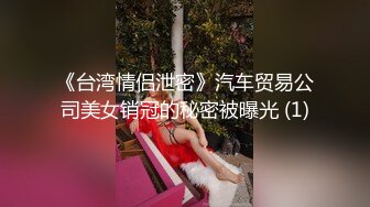 《台湾情侣泄密》汽车贸易公司美女销冠的秘密被曝光 (1)